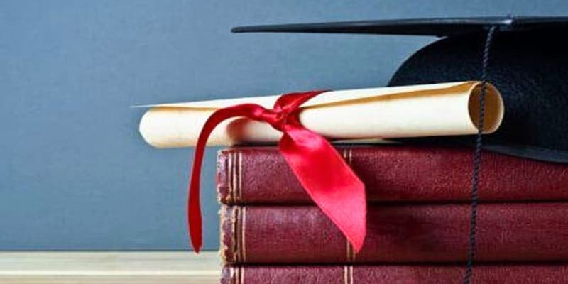Alumni Network & Success Support